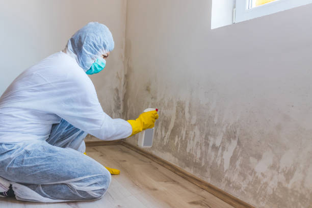 Best Commercial Mold Inspection  in Mckinleyville, CA
