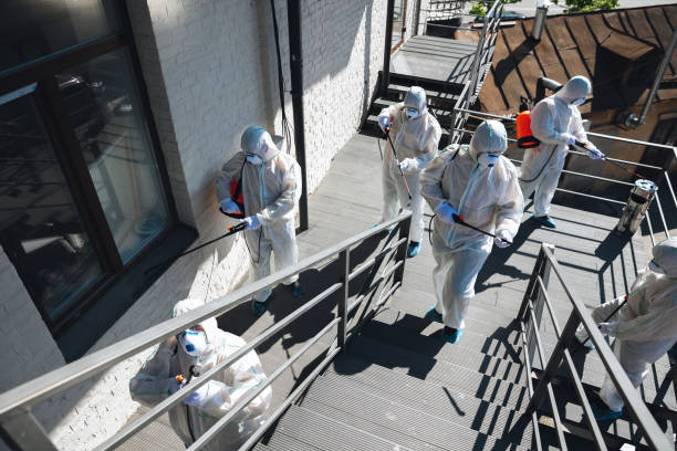 Best Attic Mold Removal  in Mckinleyville, CA
