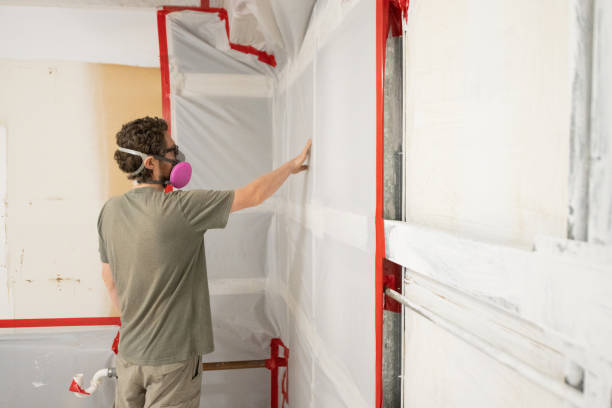 Best Emergency Mold Remediation  in Mckinleyville, CA