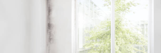 Best Residential Mold Inspection & Testing  in Mckinleyville, CA