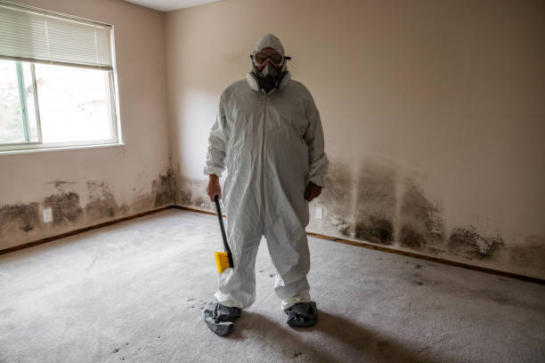 Trusted Mckinleyville, CA Mold Removal Experts